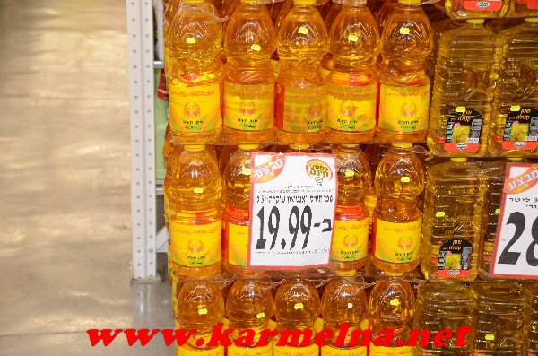 כמעט חינם התחיל לעבוד בדאלית אל כרמל